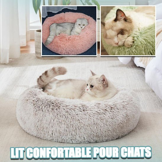 Coussin pour chat - CozyCushy™ - Matou Store