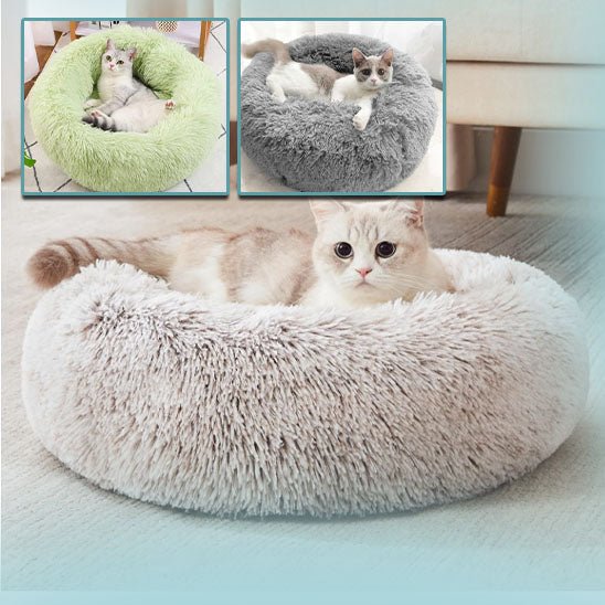 Coussin pour chat - CozyCushy™ - Matou Store