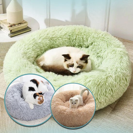 Coussin pour chat vert