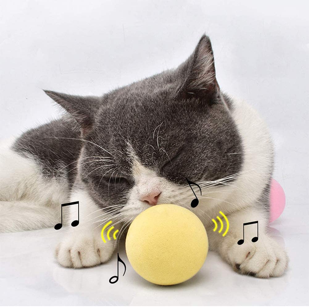 SmartBall™ - Balle intelligente d'apprentissage pour chat - Matou Store